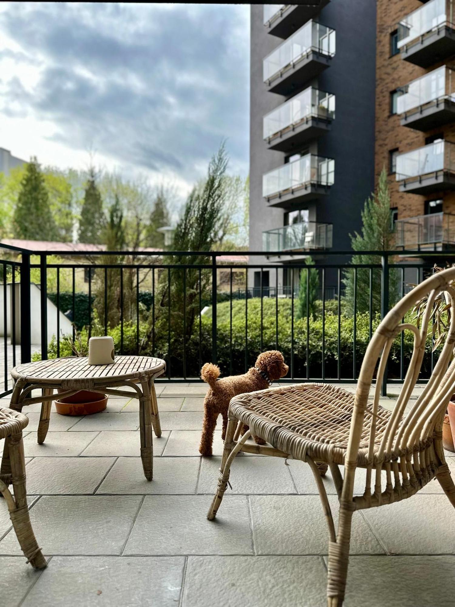 Pure Apartment N°1 Breslavia Esterno foto